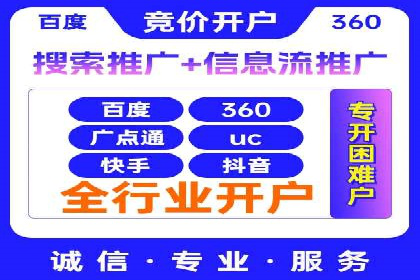 XX领域竞价广告的投放策略及效果展示